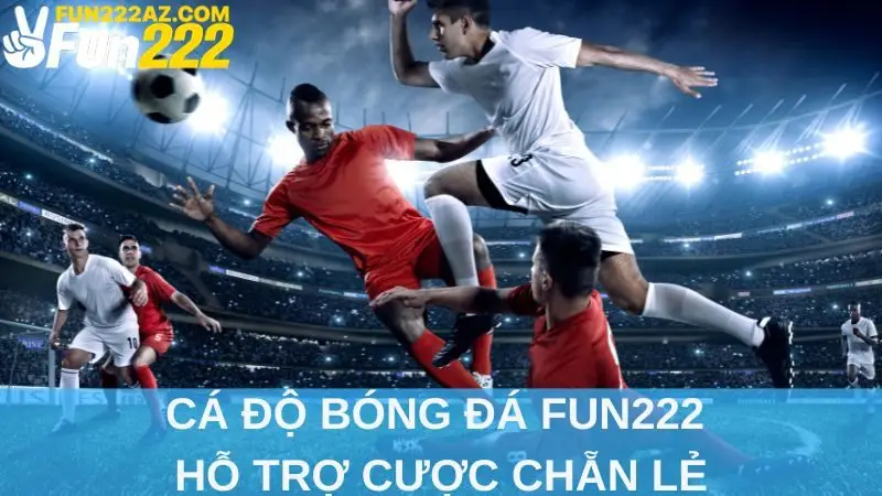 Cá độ bóng đá Fun222 hỗ trợ cược chẵn lẻ