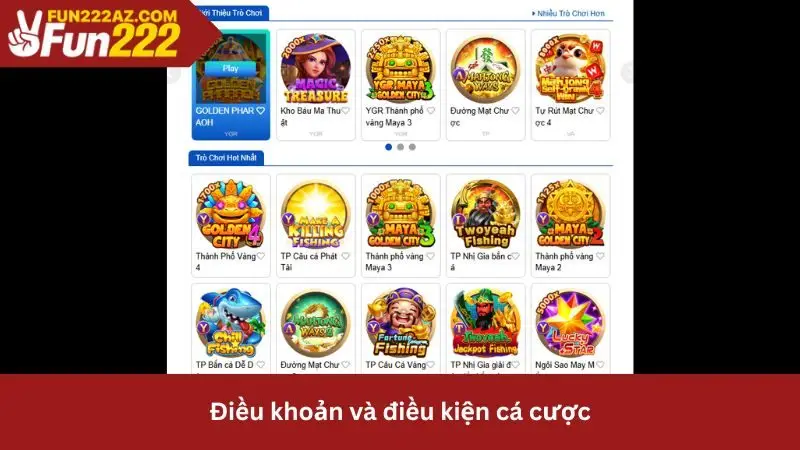 Điều khoản và điều kiện về cá cược
